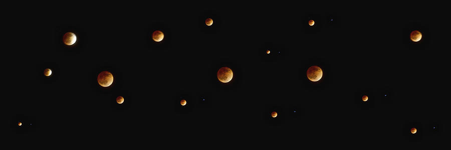 Blood Moon Collage  #1 Photograph by SC Heffner