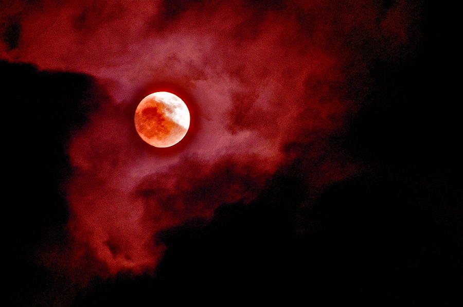 Blood Moon #1 Photograph by Joe  Burns