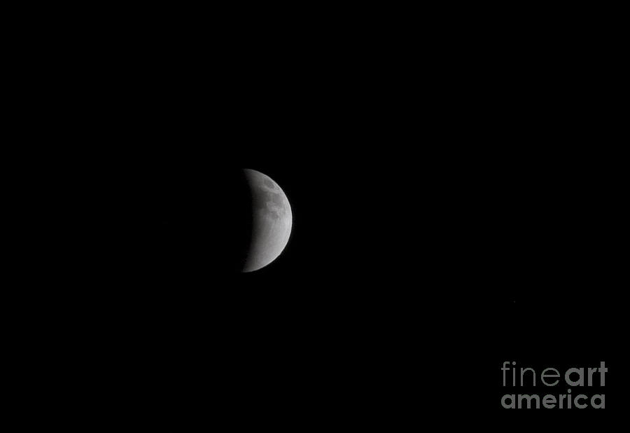 Blood Moon #1 Photograph by Steven Krull