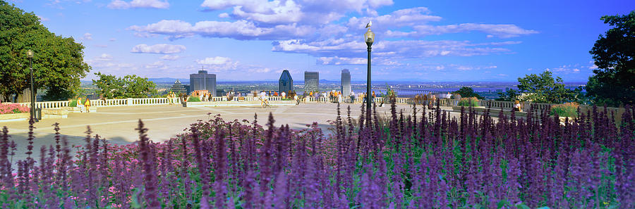 Nature Photograph - Blooming Flowers With City Skyline #1 by Panoramic Images
