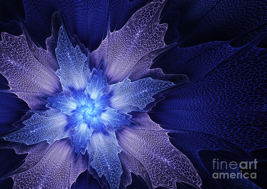Abstract Digital Art - Blue abstract flower #1 by Martin Capek