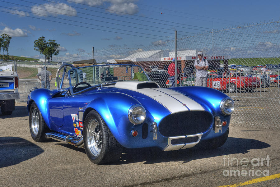 Blue Cobra #2 Photograph by Stuart Row