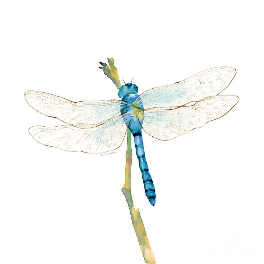Blue Painting - Blue Dragonfly by Amy Kirkpatrick