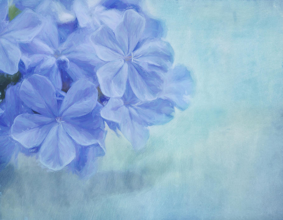 Nature Photograph - Blue Fantasy #1 by Kim Hojnacki