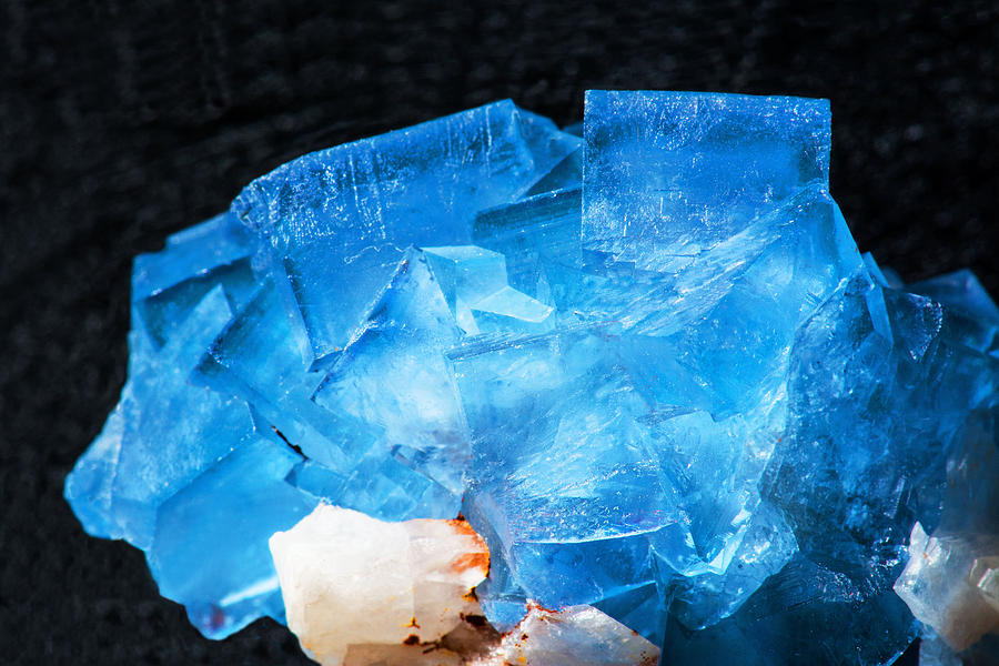 Blue Fluorite #1 Photograph by Millard H. Sharp
