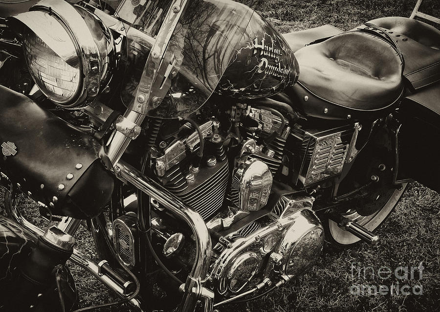 Blue Harley #1 Photograph by Wilma  Birdwell