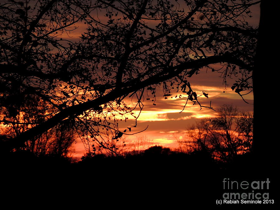 Blue Horse Sunset #1 Photograph by Rabiah Seminole