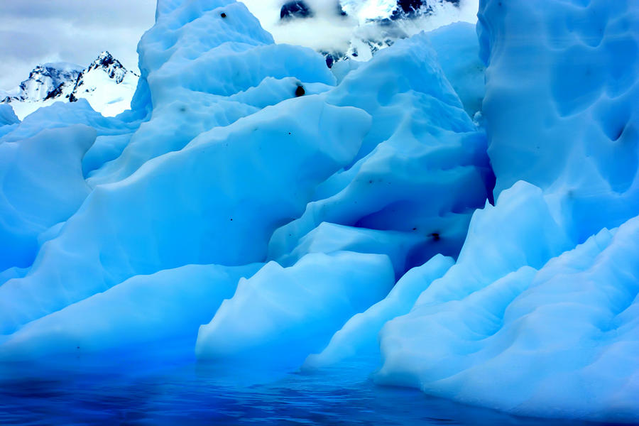 Blue Iceberg #1 Photograph by Amanda Stadther