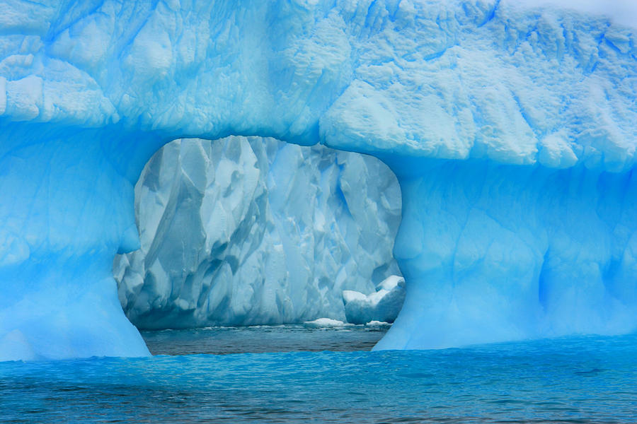Blue Iceberg Antarctica #1 Photograph by Amanda Stadther