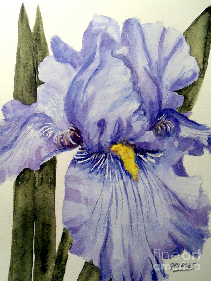 Blue Iris #1 Painting by Carol Grimes