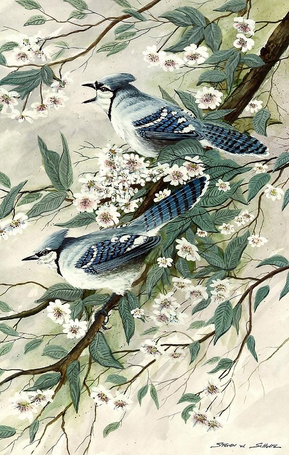 Blue Jay Painting - Blue Jays And Blossoms #1 by Steven Schultz
