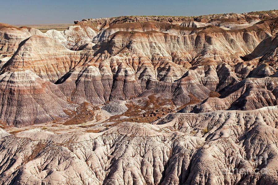 Blue Mesa Petrified Forest National Park #1 Photograph by Fred Stearns