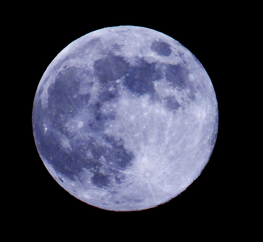 Blue Moon #1 Photograph by Dennis Dugan