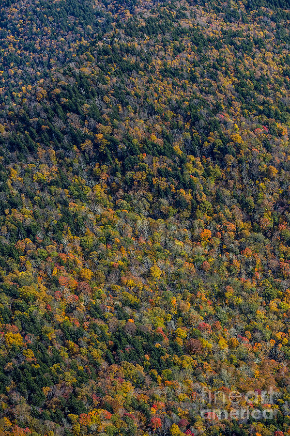 Blue Ridge Parkway with Autumn Colors #2 Photograph by David Oppenheimer