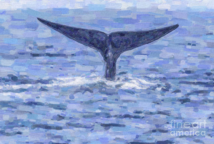 Wildlife Digital Art - Blue Whale Fluking #1 by Liz Leyden