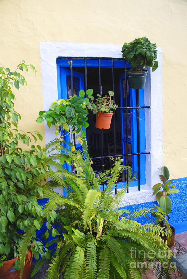 Blue Window in Marbella #1 Photograph by Brenda Kean