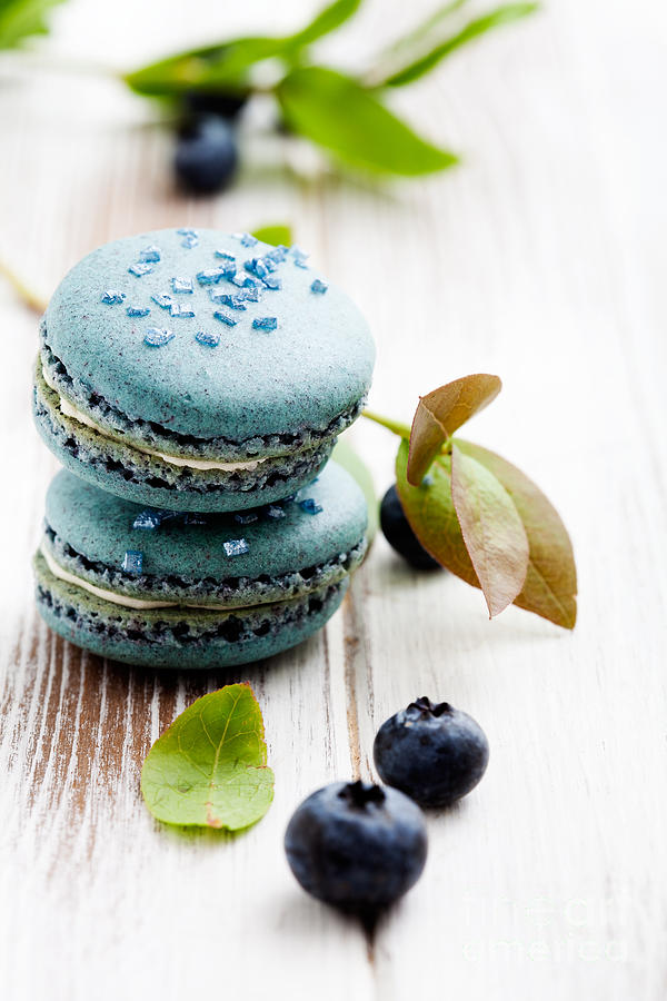 Cake Photograph - Blueberry macaroons #1 by Kati Finell