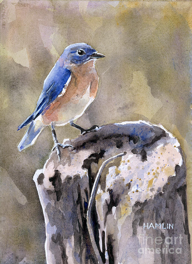 Bird Painting - Bluebird and Fencepost #1 by Steve Hamlin