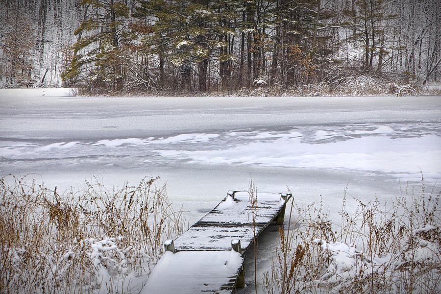 Boat Dock in Winter #1 Photograph by Randall Nyhof