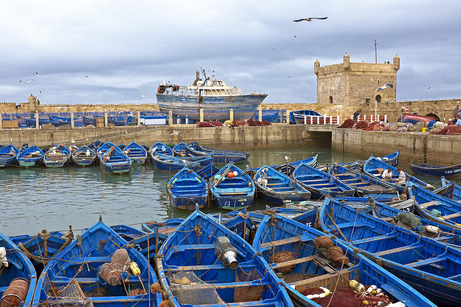 boat tours in morocco