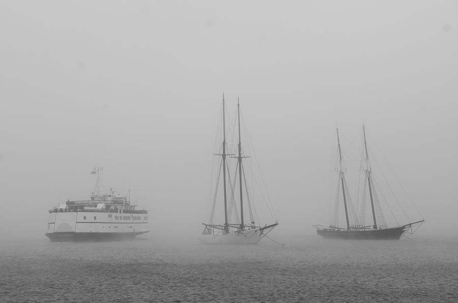 Boats in Fog #1 Photograph by Steve Myrick