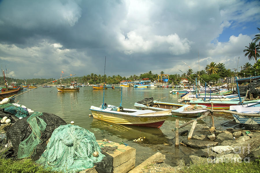 boats in the harbour of Mirissa on the tropical island of Sri Lanka #1 Photograph by Gina Koch