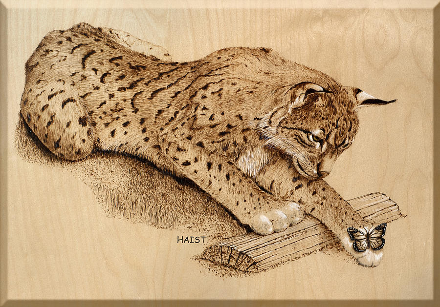 Bobcat and Friend Pyrography by Ron Haist