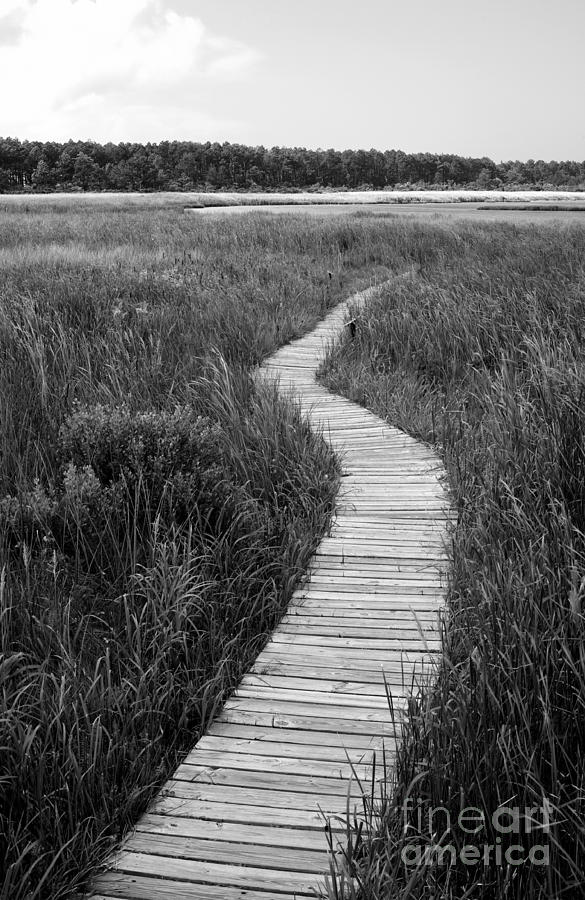 Bodie Island Boardwalk #1 Photograph by William Kuta