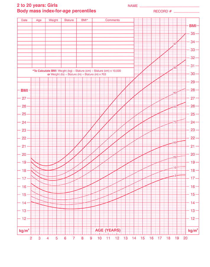 Body Mass Index Chart Photograph By Cdc Science Photo Library