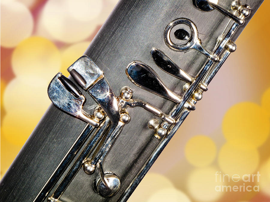 Bassoon Music Instrument Fine Art Prints Canvas Prints Greeting Cards in Color 3422.02 Photograph by M K Miller