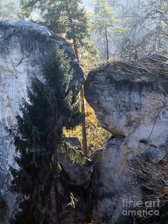 Nature Photograph - Bohemian Paradise - Rocks #1 by Michal Boubin