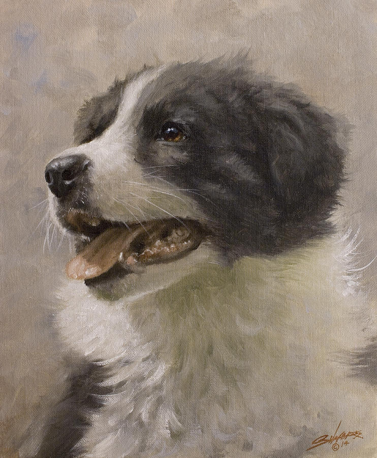 Border Collie pup portrait III #2 Painting by John Silver