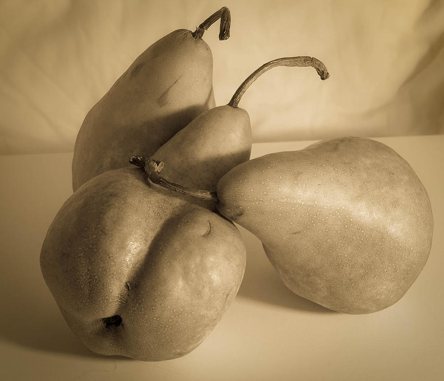 Still Life Photograph - Bosc Pears 3 #1 by Paul Haist