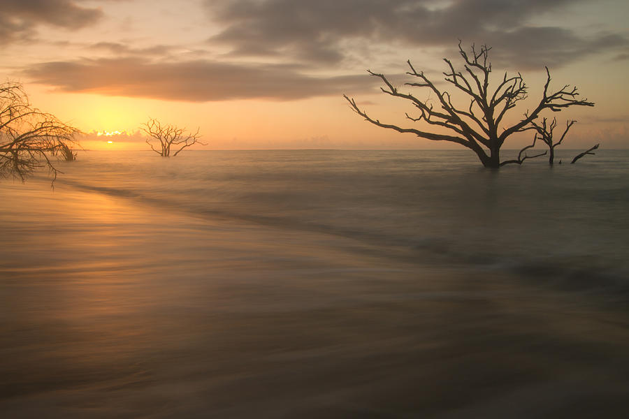 Sunrise at Botany Bay Beach Photograph by Doug McPherson
