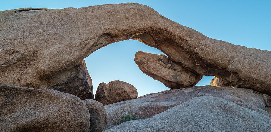Boulders In A Desert, Joshua Tree #1 Photograph by Panoramic Images
