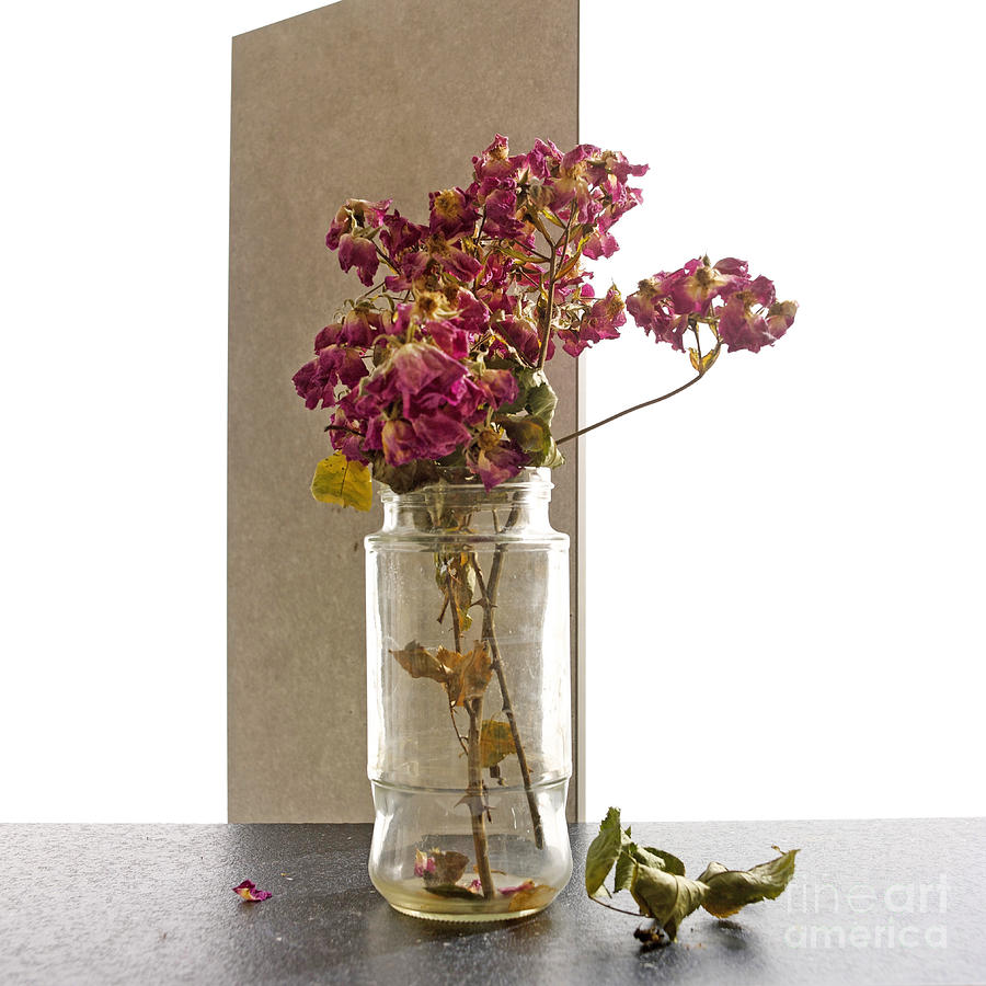 Cut Out Photograph - Bouquet by Bernard Jaubert Cut Out Photograph - Bouquet by Bernard Jaubert