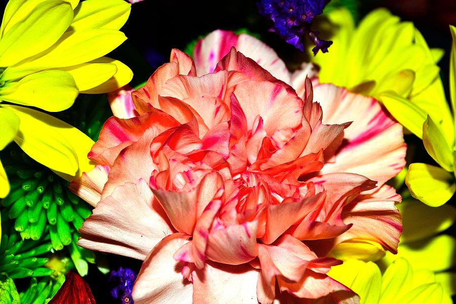 Bouquet-of-Flowers 1 #1 Photograph by Richard Zentner