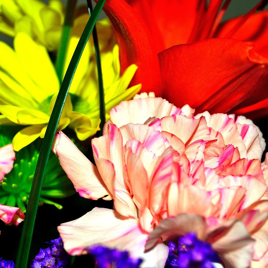 Bouquet-of-Flowers 2 #1 Photograph by Richard Zentner