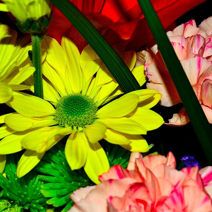 Bouquet-of-Flowers 3 #1 Photograph by Richard Zentner