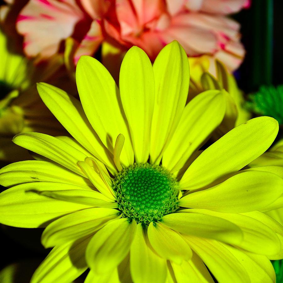 Bouquet-of-Flowers 4 #1 Photograph by Richard Zentner