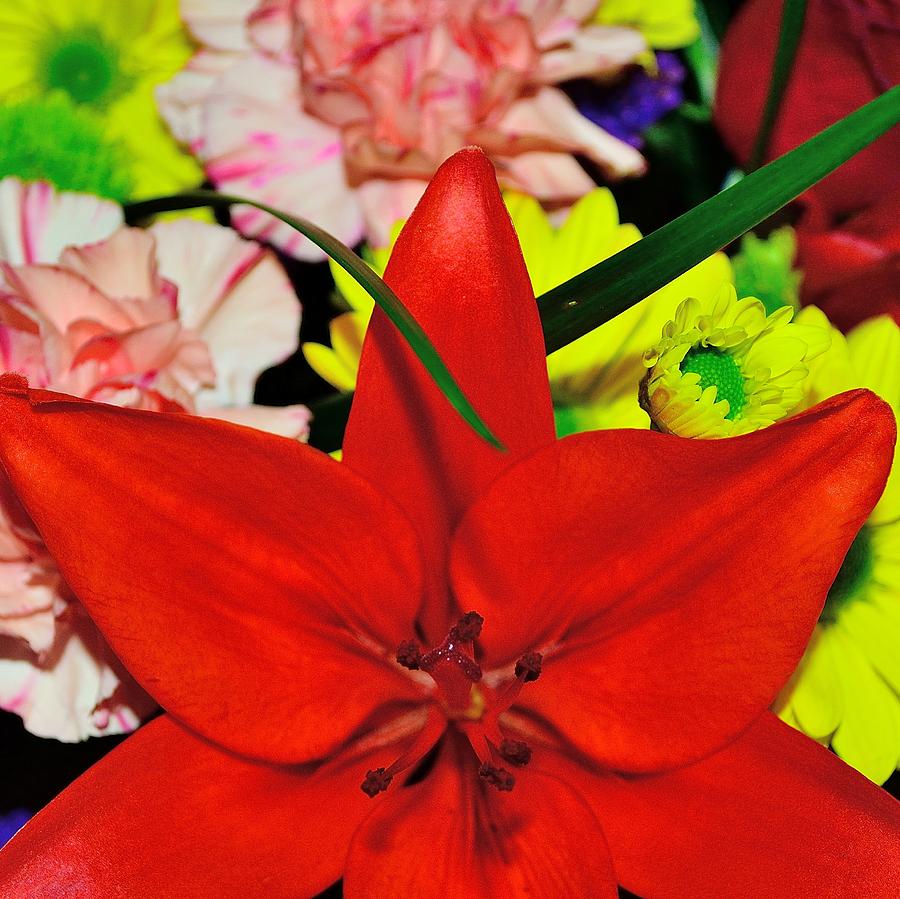 Bouquet-of-Flowers 5 #1 Photograph by Richard Zentner