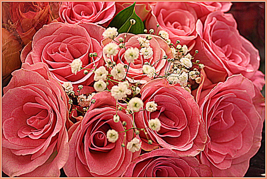 Bouquet of Pink Roses Photograph by Dora Sofia Caputo - Fine Art America