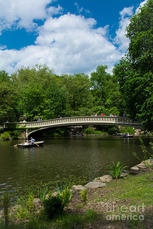 Central Park Photograph - Bow Bridge Central Park #1 by Amy Cicconi