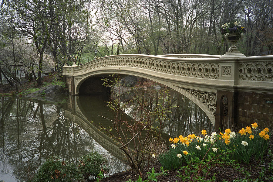 Bow Bridge #1 Photograph by Cornelis Verwaal