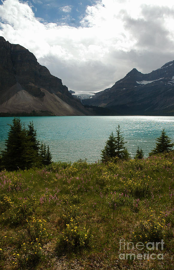 814A Bow Lake Alberta Photograph by NightVisions