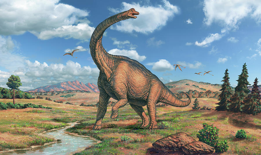 Prehistoric Photograph - Brachiosaurus Dinosaur #1 by Joe Tucciarone