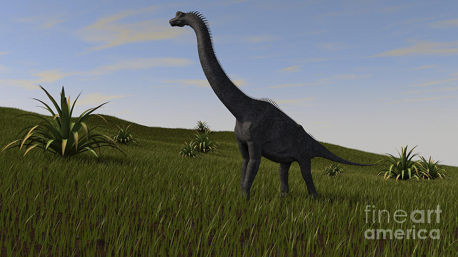 Brachiosaurus Grazing In A Grassy Field Digital Art
