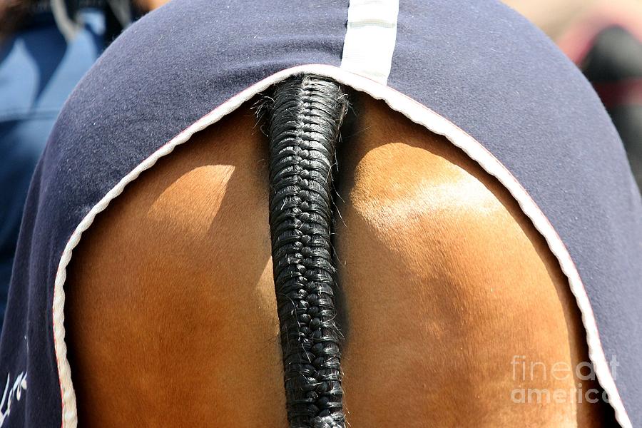 Braided Tail #1 Photograph by Janice Byer