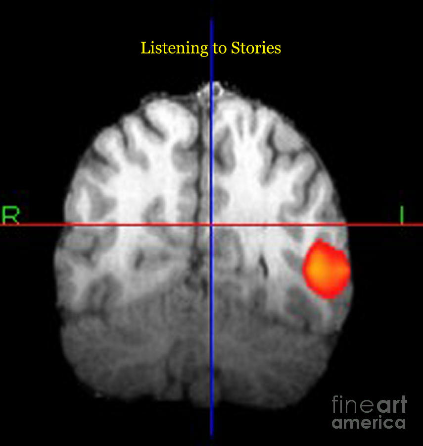 Brain Activity During Language Task, 2 #1 Photograph by Living Art Enterprises
