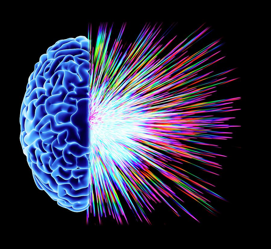 Brain Explosion #1 Photograph by Alfred Pasieka/science Photo Library
